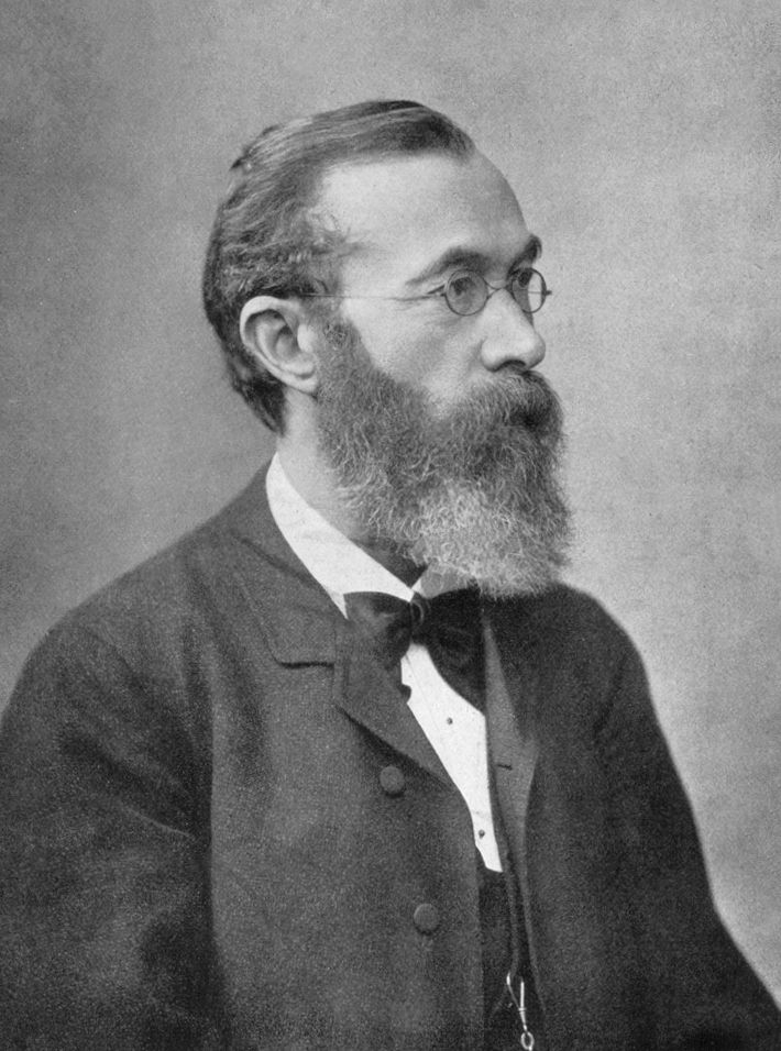 Wilhelm Wundt, Porträt